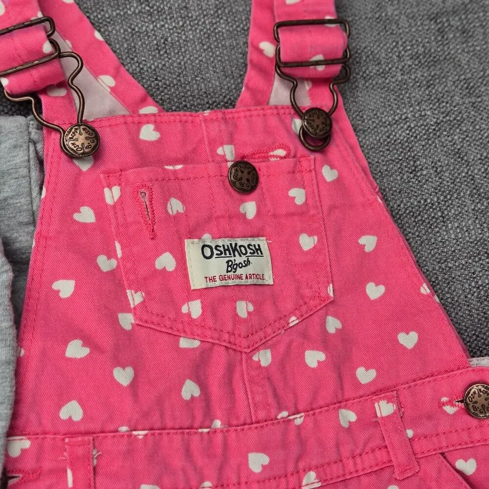 OshKosh Bgosh Pink Heart Overalls & Carters Gray Heart Hoodie Track Pants Set